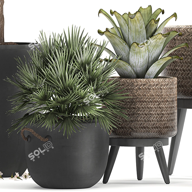 Tropical Loft Plant Collection 3D model image 3