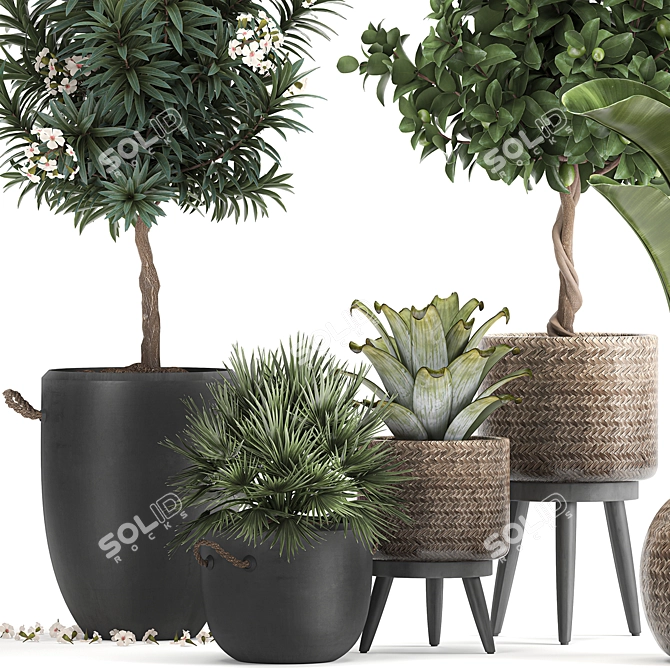 Tropical Loft Plant Collection 3D model image 5