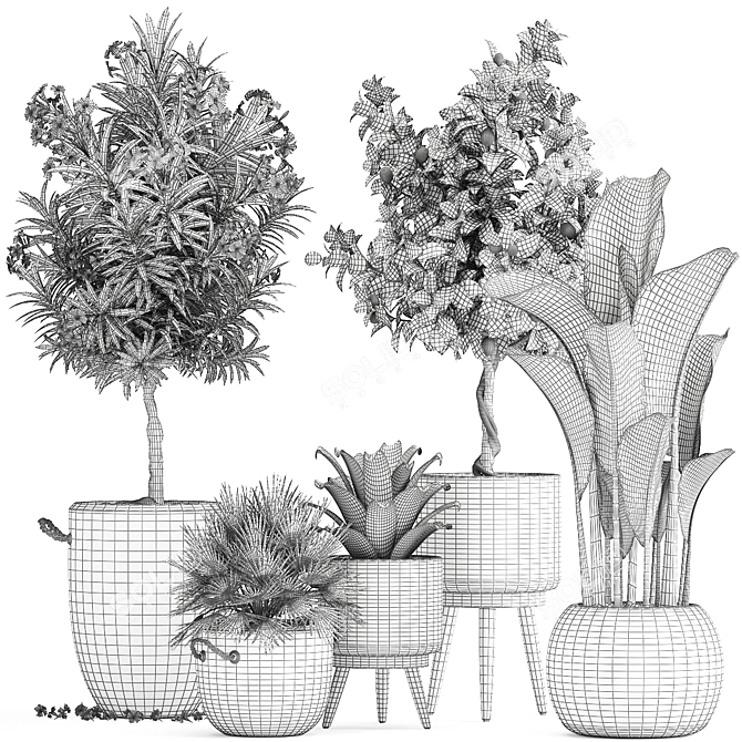 Tropical Loft Plant Collection 3D model image 7