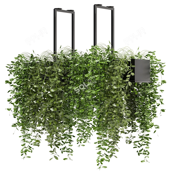 Metal Box Indoor Hanging Plants - Set 214 3D model image 1