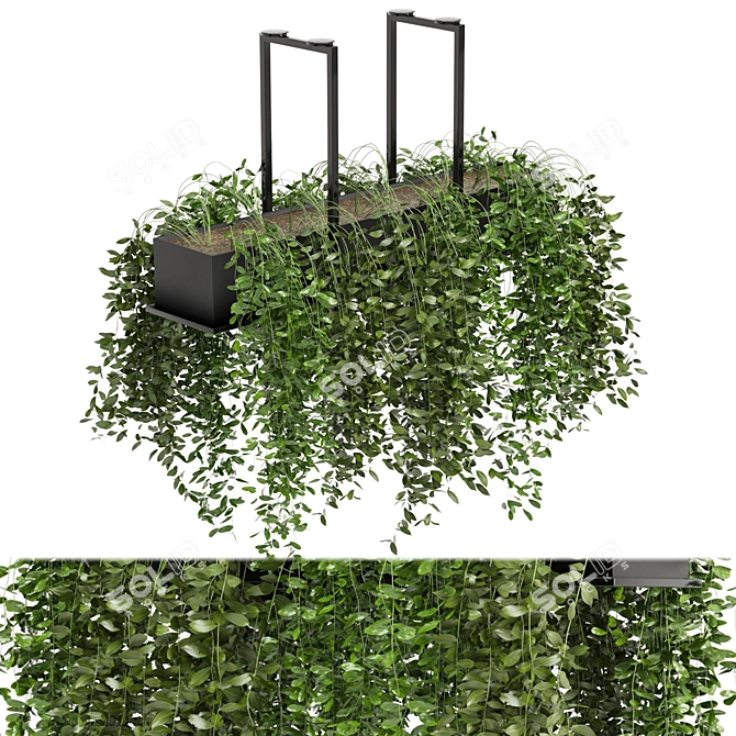 Metal Box Indoor Hanging Plants - Set 214 3D model image 2