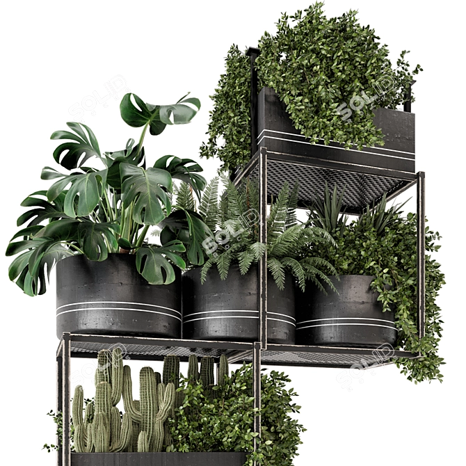 Metal Box Hanging Plants - Set 460 3D model image 2