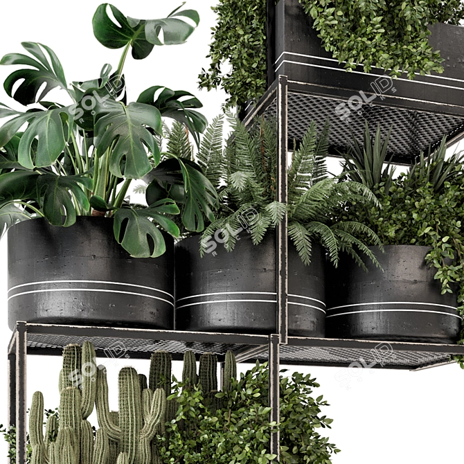 Metal Box Hanging Plants - Set 460 3D model image 3