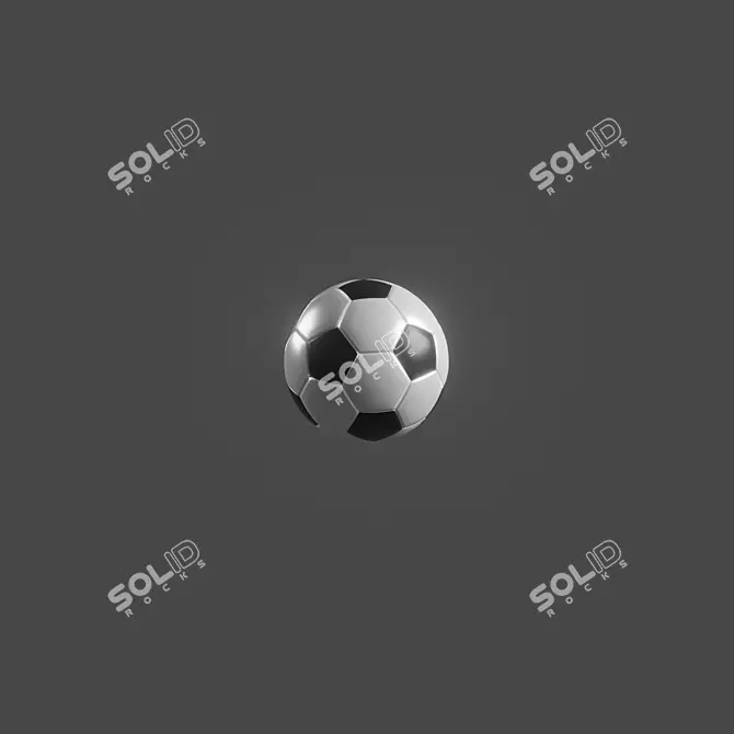 Dynamic Pro Soccer Ball 3D model image 4