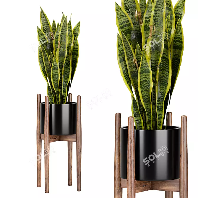 Modern Indoor Plant Collection 3D model image 4