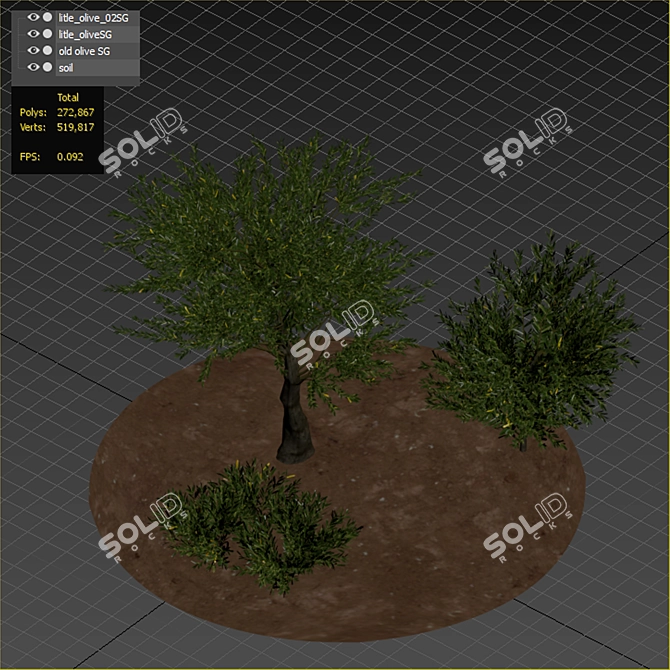 Evergreen Paradise: Olive Tree & Bush 3D model image 6
