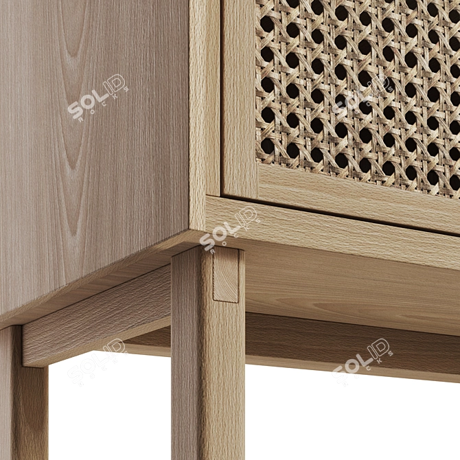 CANA HiFi Cabinet: Sleek and Stylish Storage Solution 3D model image 3