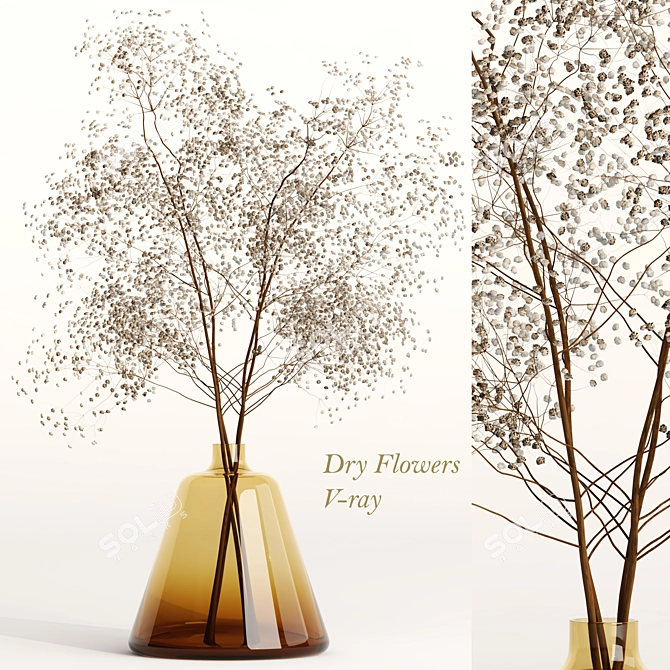 Elegant Dry Flowers Arrangement 3D model image 1