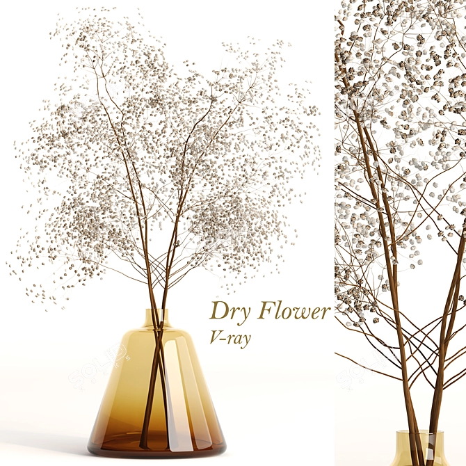 Elegant Dry Flowers Arrangement 3D model image 6