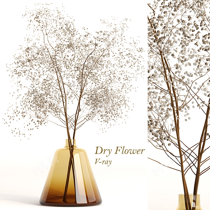 Elegant Dry Flowers Arrangement 3D model image 7