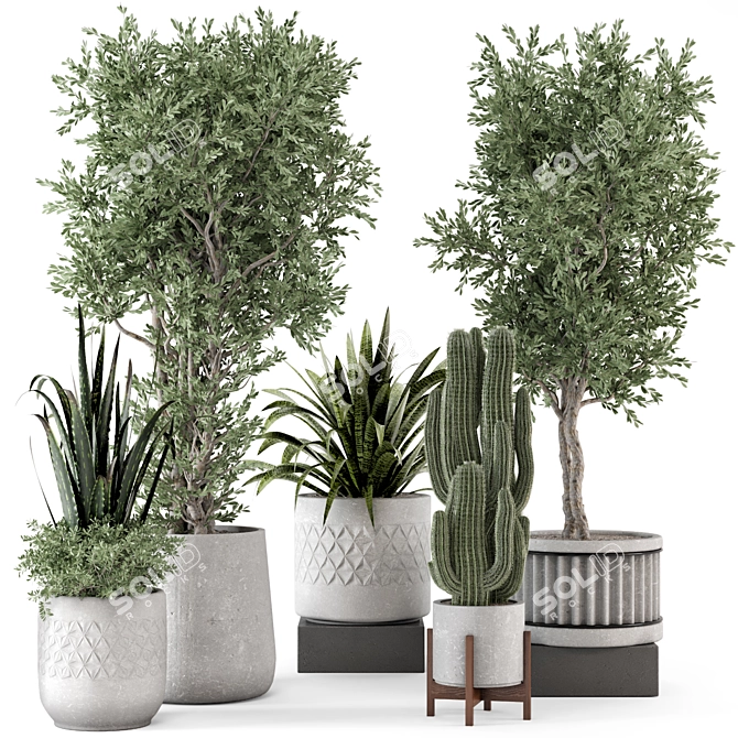  Rusty Concrete Pot Set with Indoor Plants 3D model image 1