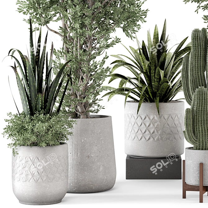  Rusty Concrete Pot Set with Indoor Plants 3D model image 5