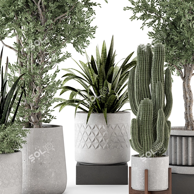  Rusty Concrete Pot Set with Indoor Plants 3D model image 6