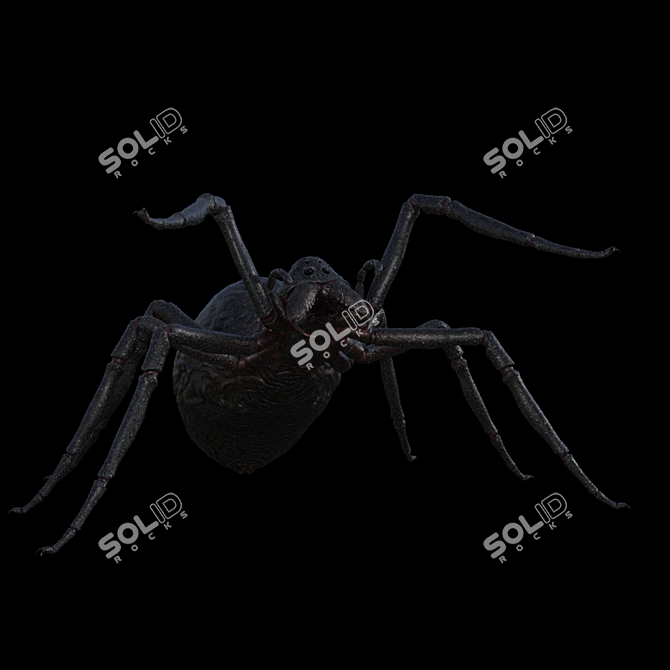 Title: Textured Spider with Skeleton 3D model image 2