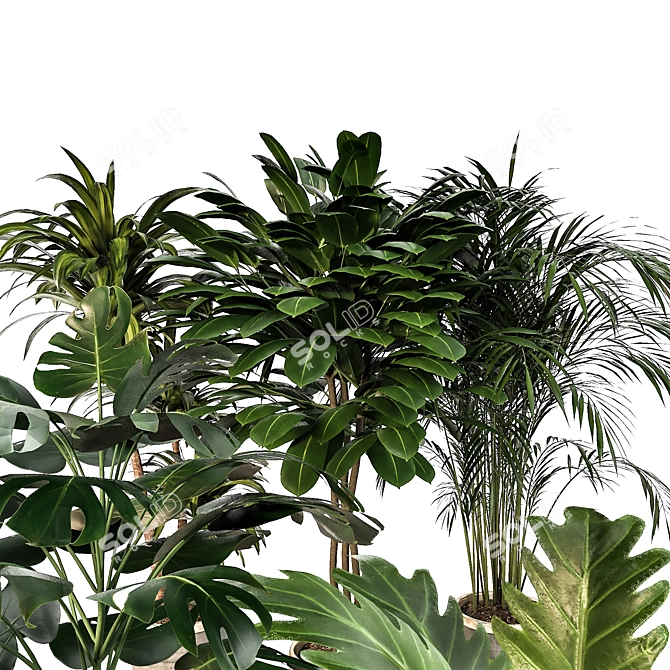 Green Oasis: Indoor Plant Set 3D model image 2