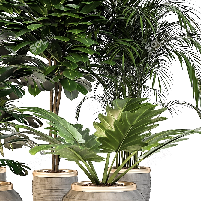 Green Oasis: Indoor Plant Set 3D model image 3