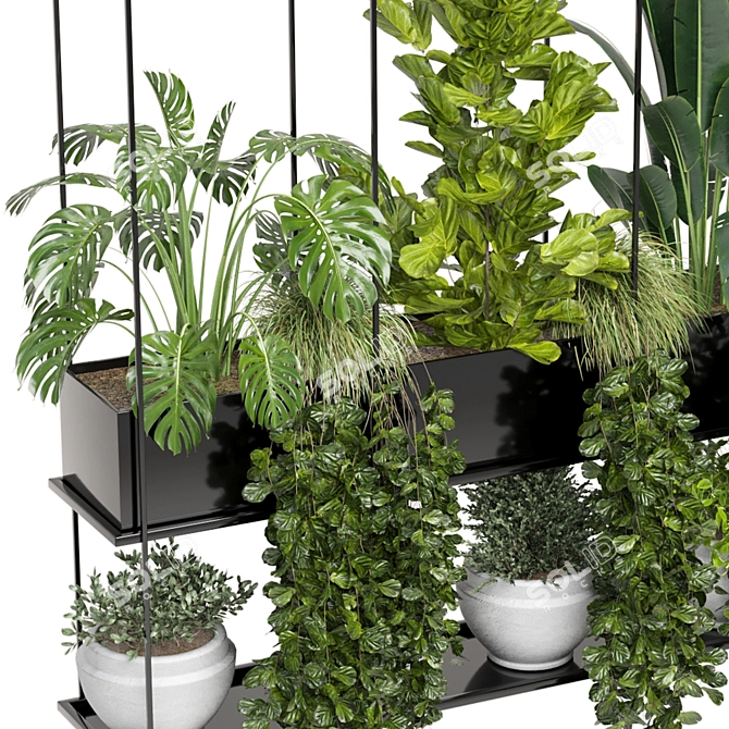 Metal Box Set: Indoor Hanging Plants 3D model image 4