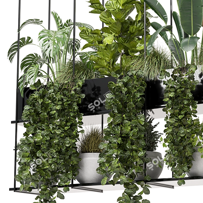 Metal Box Set: Indoor Hanging Plants 3D model image 5