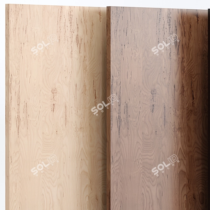 Natural Wood 19 - Triple Material 3D model image 2