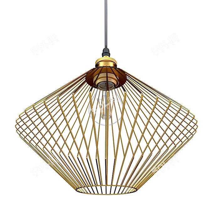 Wire Cage Pendant Light 3D model image 13