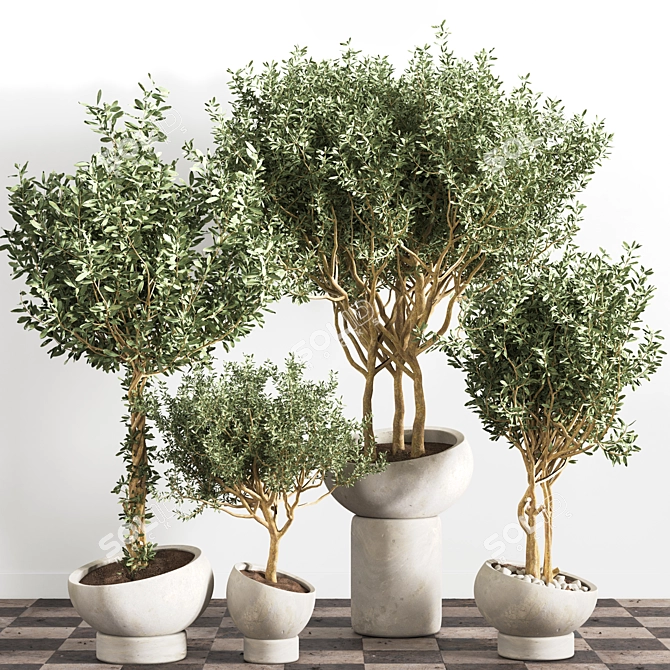 Versatile Indoor Plant - Modern Design 3D model image 1