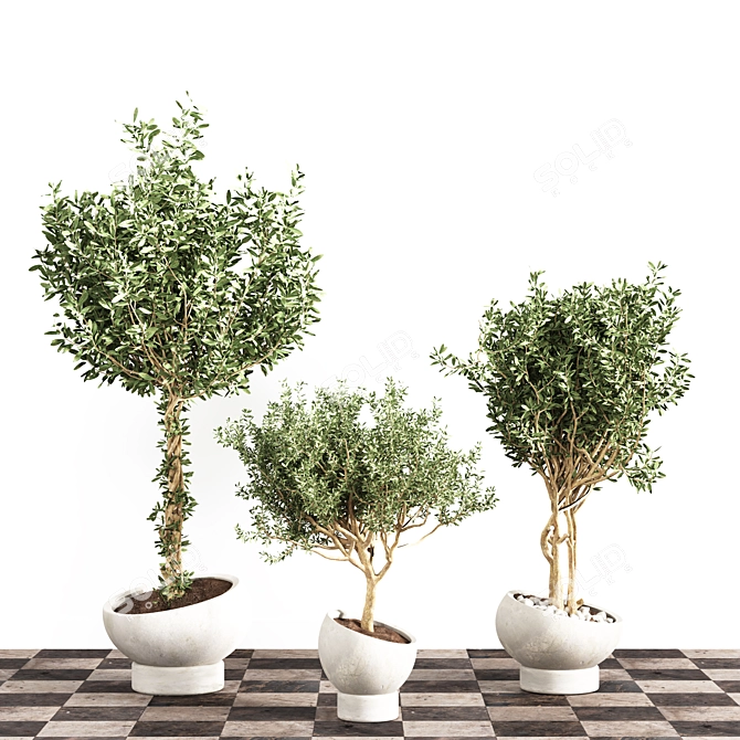 Versatile Indoor Plant - Modern Design 3D model image 2