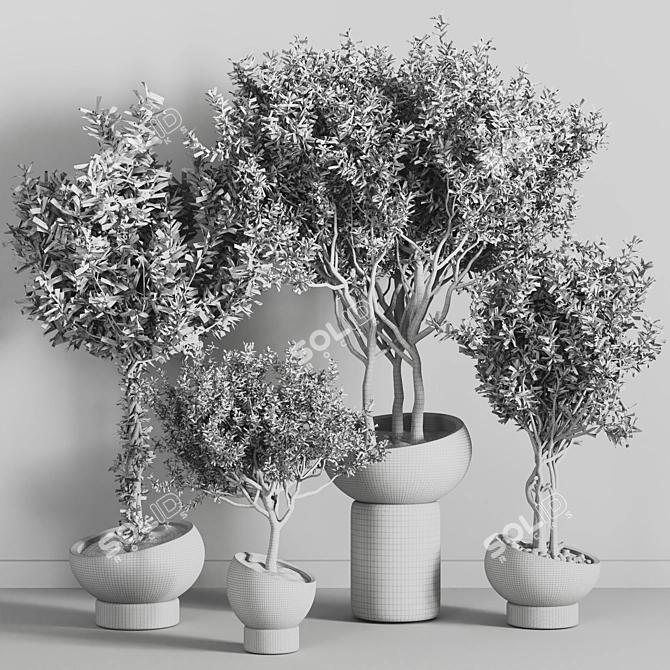 Versatile Indoor Plant - Modern Design 3D model image 5