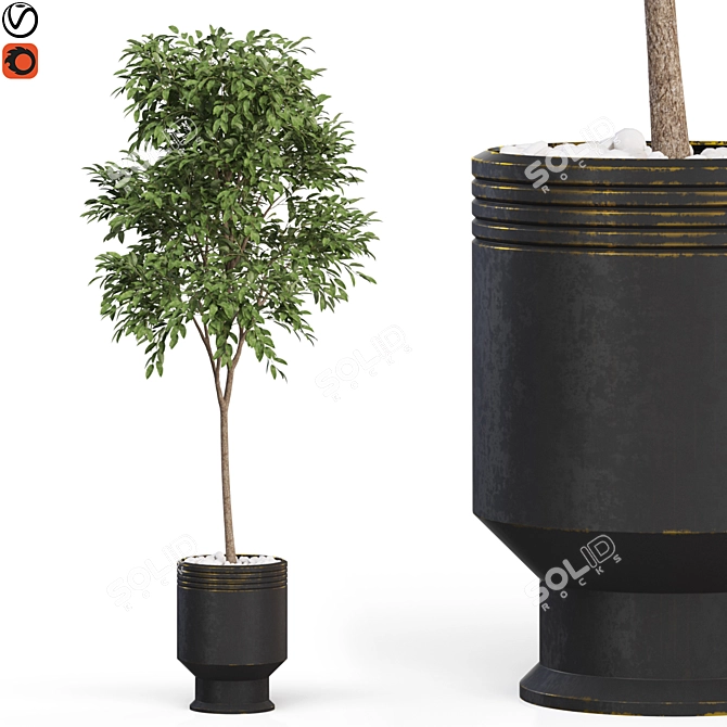 Enchanting Plant Collection 631 3D model image 1