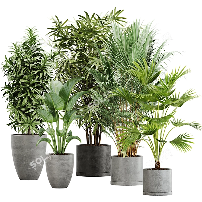  Lush Green Indoor Plant Set 3D model image 1