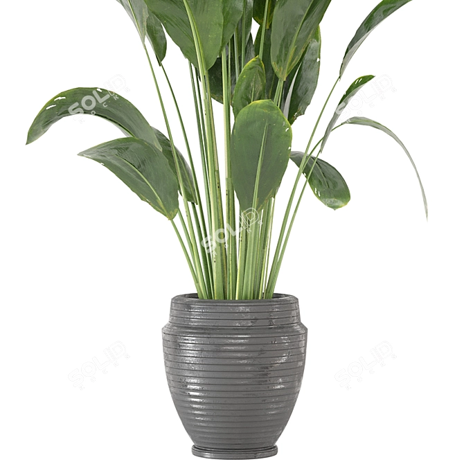 Botanical Bliss: Indoor Plants Collection 3D model image 2