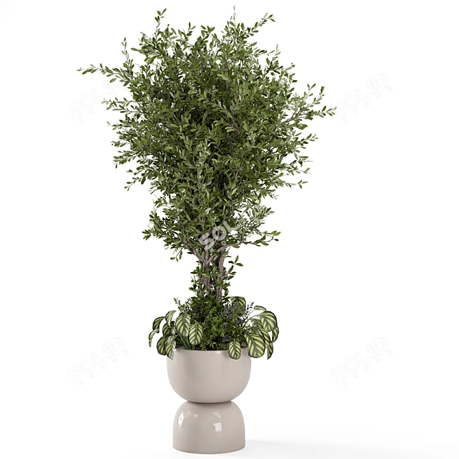 Rusty Pot Indoor Plant Set 3D model image 5