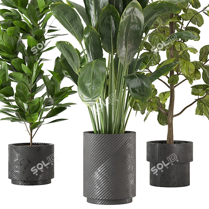 Indoor Jungle: 3D Plants Collection 3D model image 1