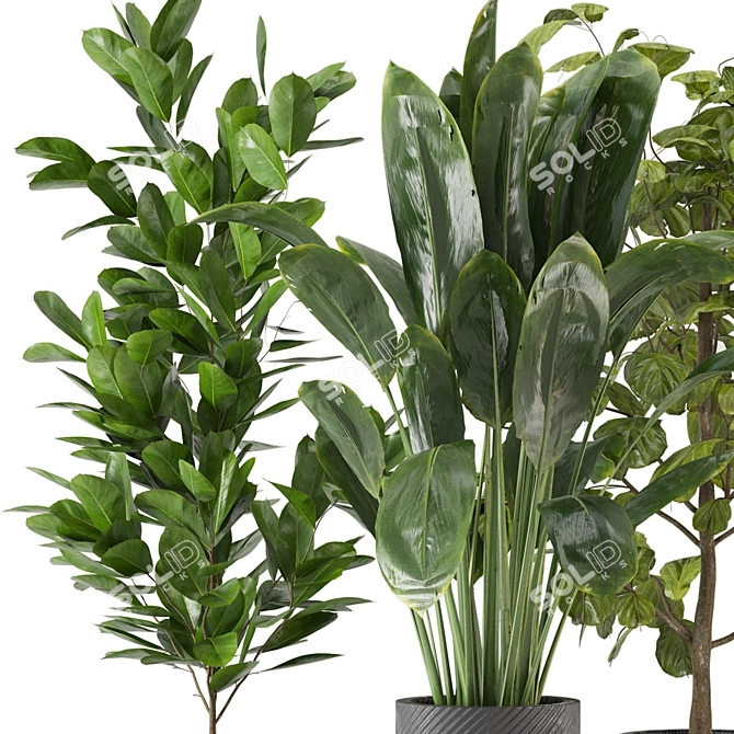 Indoor Jungle: 3D Plants Collection 3D model image 2