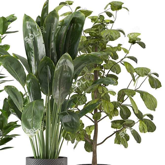 Indoor Jungle: 3D Plants Collection 3D model image 3