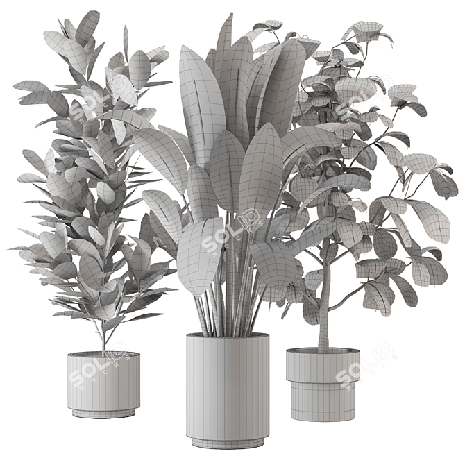 Indoor Jungle: 3D Plants Collection 3D model image 4