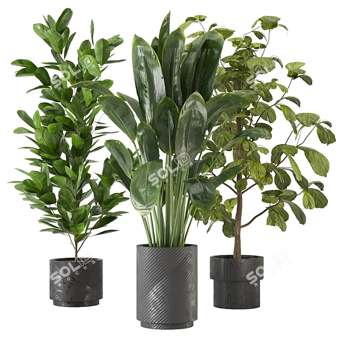 Indoor Jungle: 3D Plants Collection 3D model image 5