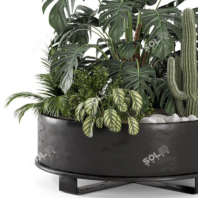 Rusty Metal Pot with Outdoor Plants 3D model image 4