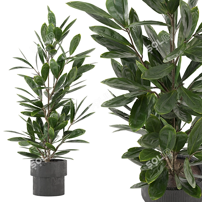 Lush Indoor Plants Collection - Set 220 3D model image 1