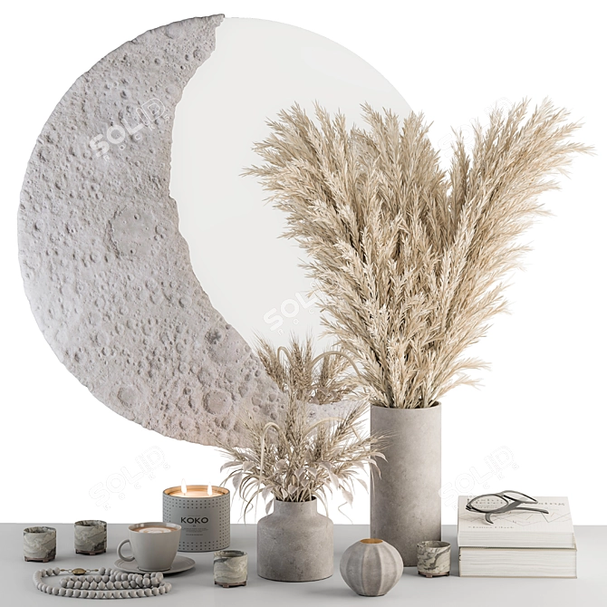 Moon Mirror Set with Dried Plant 3D model image 1