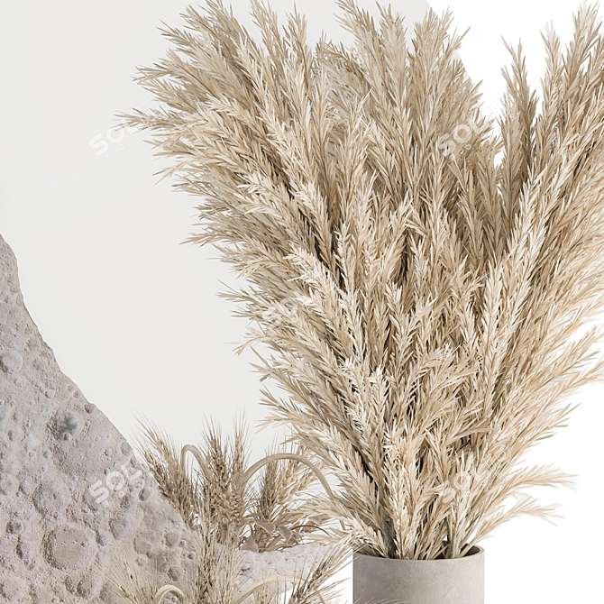Moon Mirror Set with Dried Plant 3D model image 2