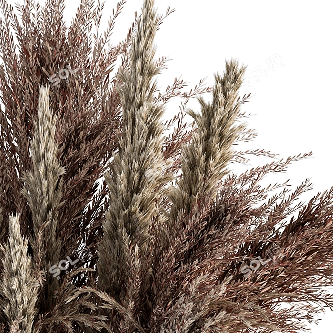 Feathery Bliss: Dried Pampas Set 3D model image 2