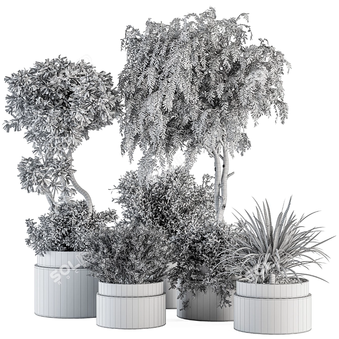 Gray Pot Indoor Plant Set 3D model image 5