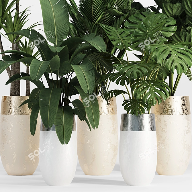 Tropical Indoor Plant Set 3D model image 5