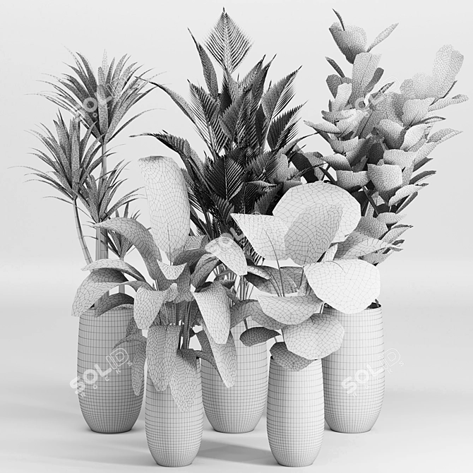 Tropical Indoor Plant Set 3D model image 6