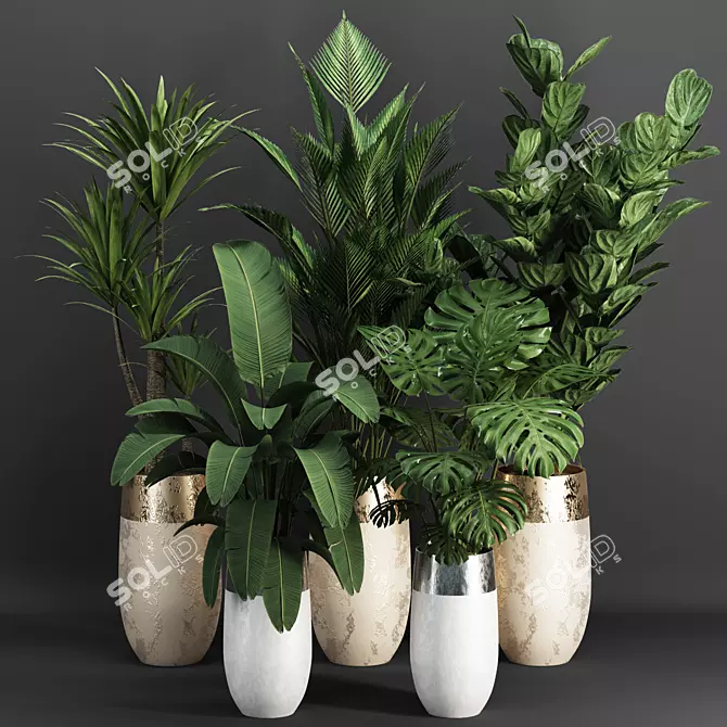 Tropical Indoor Plant Set 3D model image 7