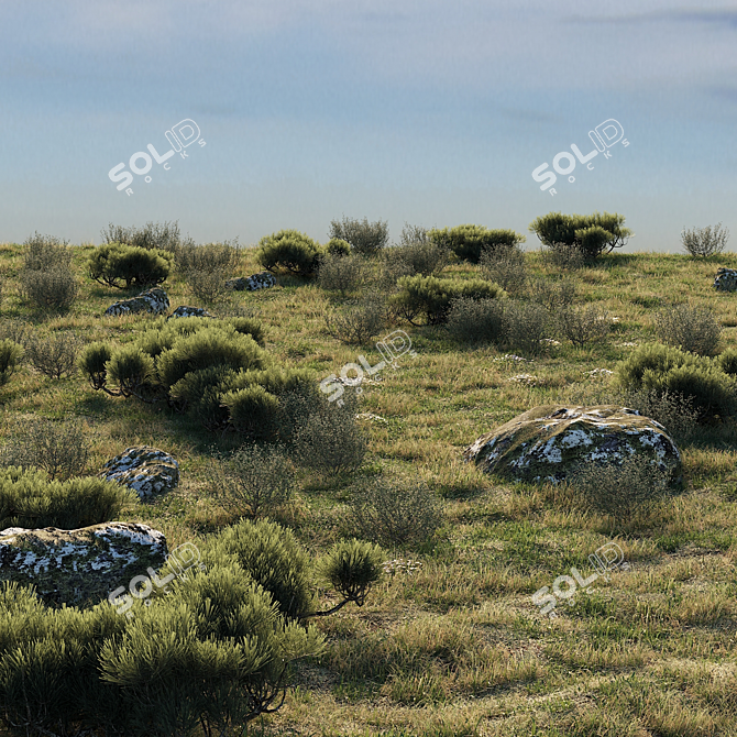 Enchanting Forestscape: Ready-to-Use Corona Scatter Environment 3D model image 2