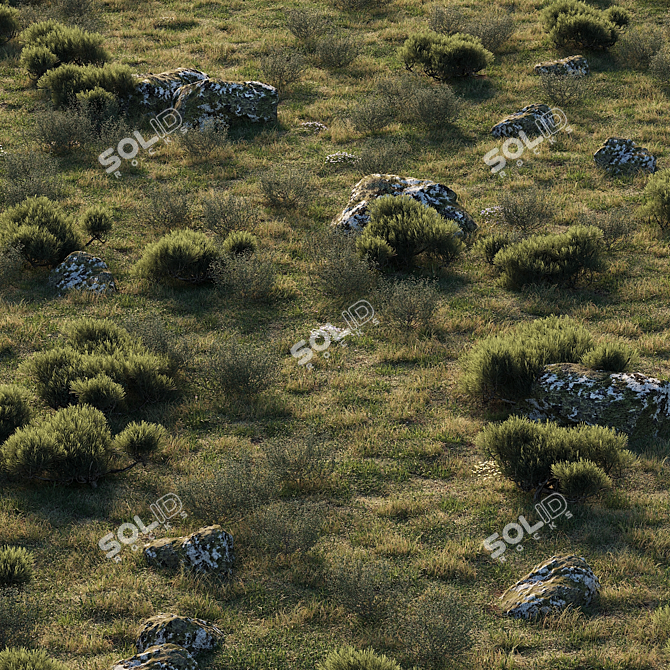 Enchanting Forestscape: Ready-to-Use Corona Scatter Environment 3D model image 5