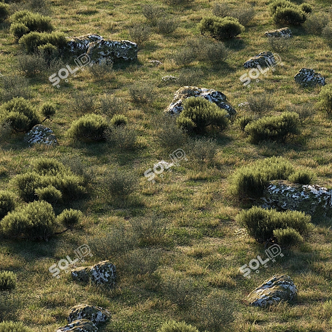 Enchanting Forestscape: Ready-to-Use Corona Scatter Environment 3D model image 6