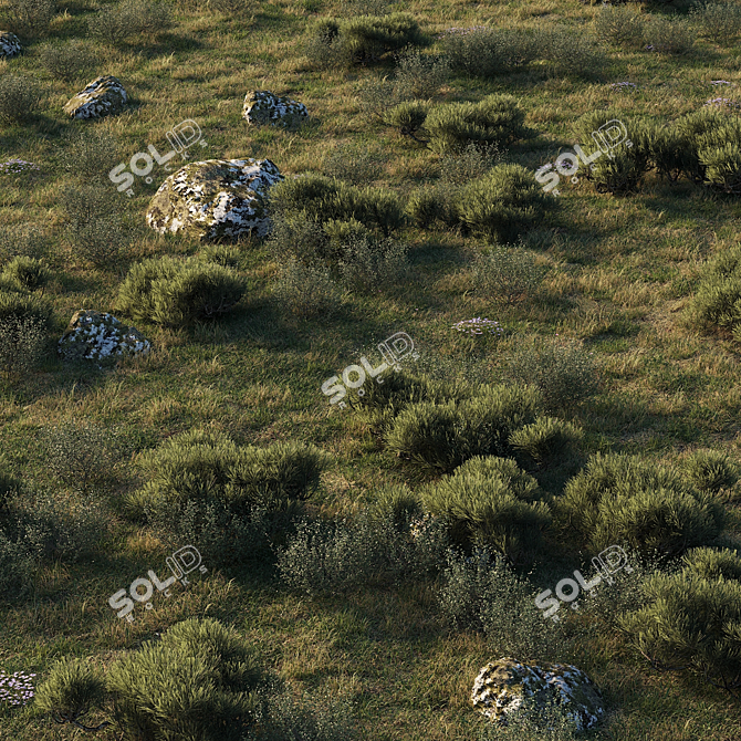 Enchanting Forestscape: Ready-to-Use Corona Scatter Environment 3D model image 7