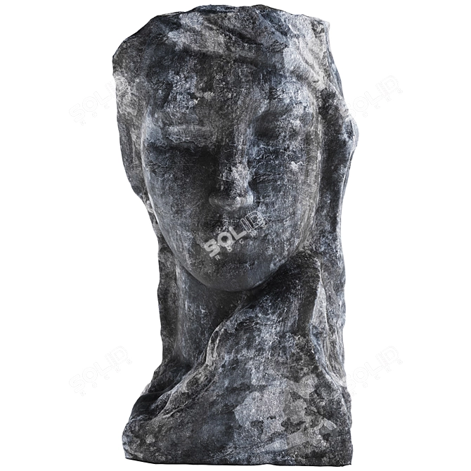 Elegant Dark Female Torso Sculpture 3D model image 3